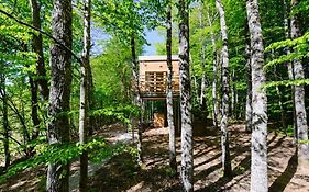 Treehouse Lika1